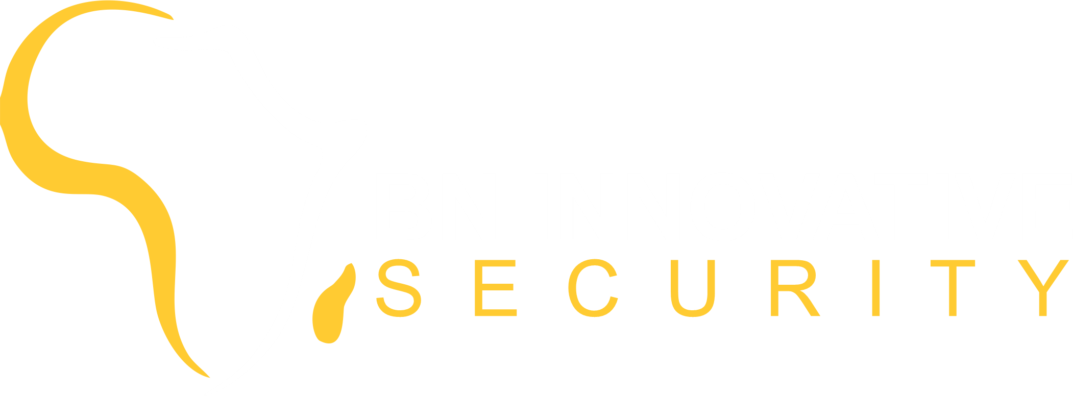 BN Innovative Security